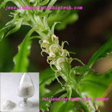 Huperzia Serrate Extract(Huperzine A)